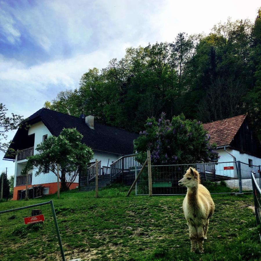 הוילה ריגרסבורג Cria Valley Alpacas מראה חיצוני תמונה